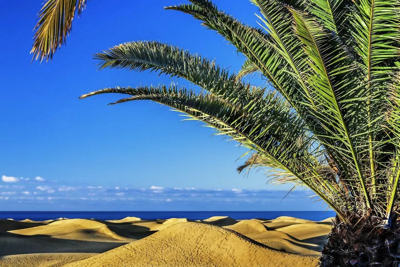 Holiday home Las Adelfas South Beach 1 By Canariasgetaway San Agustin  Spain